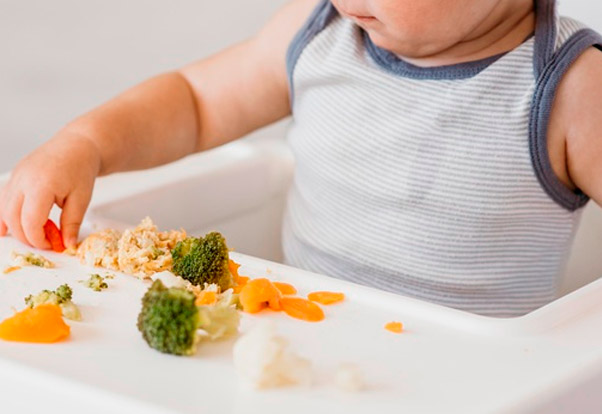 Curso Experto en Nutrición Infantil INN Formación