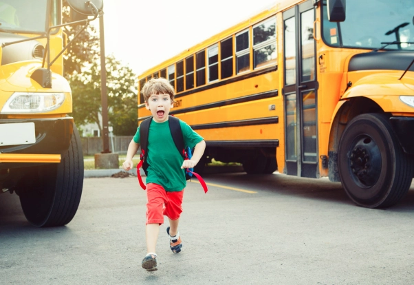 curso online de monitor de transporte escolar inn formacion